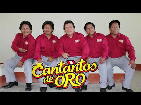 CORAZON SINCERO - PARRANDA 7 - CANTARITOS DE ORO (HOMENAJE A EDDY AYALA PINGO)