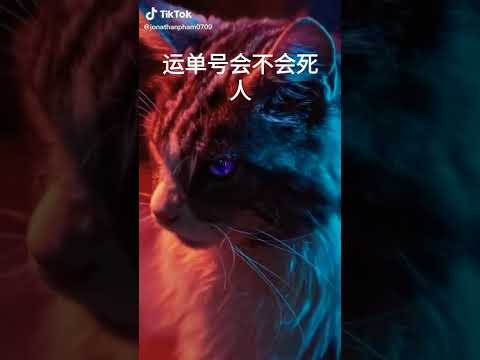 15 มกราคม ค.ศ. 2022