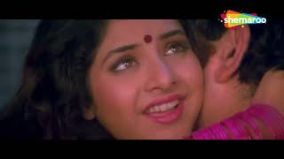 Teri Isi Ada Pe Sanam | Deewana (1992) | Rishi Kapoor | Divya Bharti | Kumar Sanu | Romantic Songs