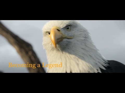 John Dreamer - Becoming A Legend - Cinematic