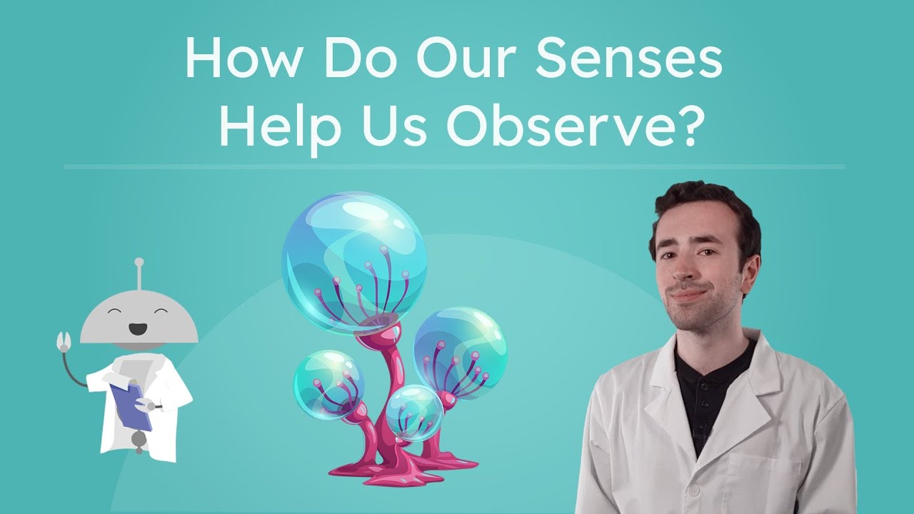 How Do Our Senses Help Us Observe? - Observing With the Five Senses