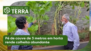 Miniatura do vídeo