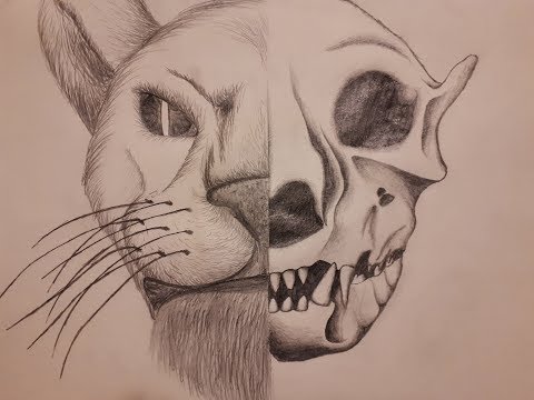 Necromancer Is Overpowered? 💀 All Skills / Morphs / Passives - PvP Perspective - ESO - Elsweyr