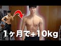 【経過報告】なんで脂肪をつけるのはこんなに簡単なの??