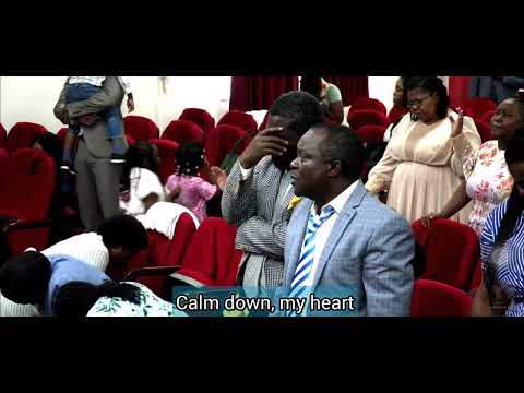 CHINYARARA MOYO WANGU •Kudzie Sedze