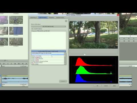 VLOG and LUTs Part 2 - using LUTS in Avid Media Composer