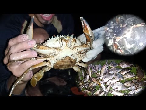 Pamamana sa Dagat nakahuli parin kami ng apat na kilo