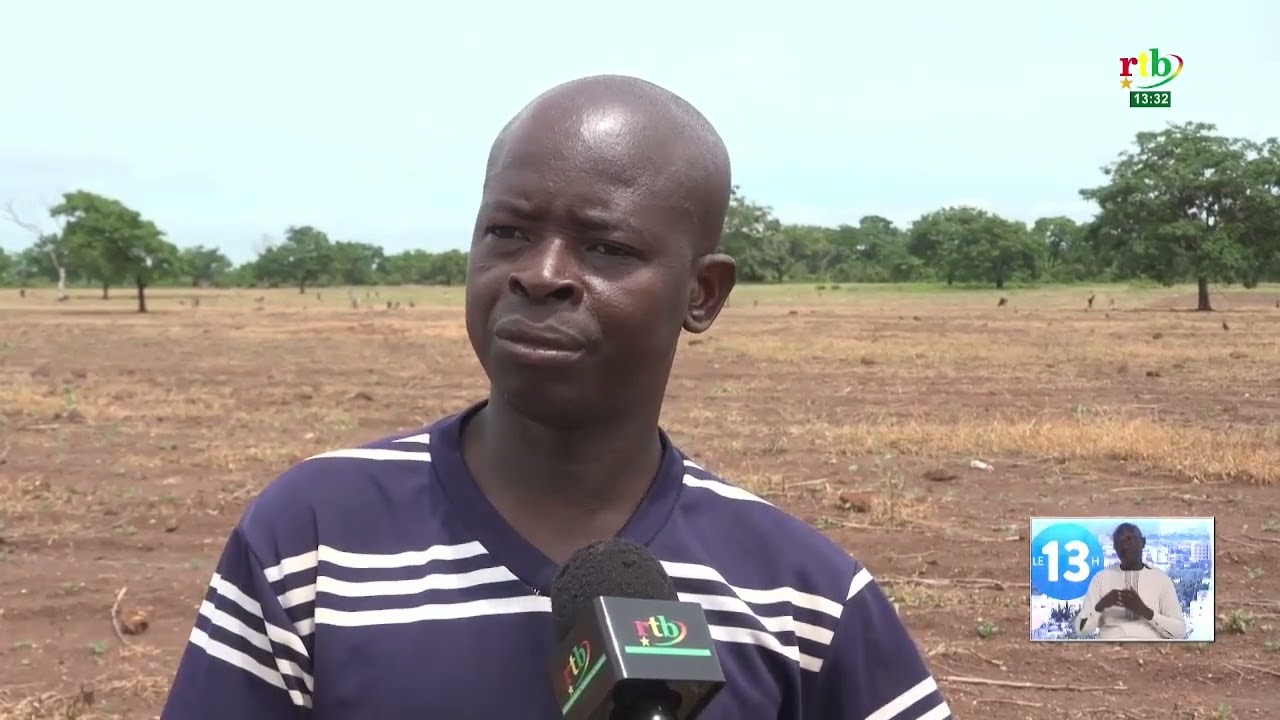 Campagne agricole 2026-2027 : Début timide dans la région des Tannounyan