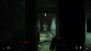 【HL2】ゲーム配信のテスト【ｽﾁﾑｰ】