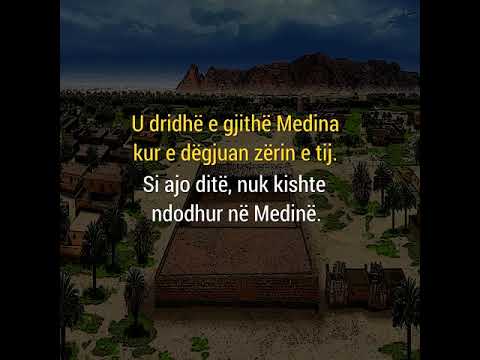 Dashuria e vërtetë ❤️