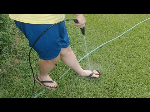 Sun Joe Go-Anywhere Portable Sprayer Unboxing & Test