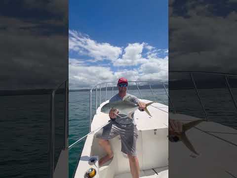 Jurel, Bahía Solano.