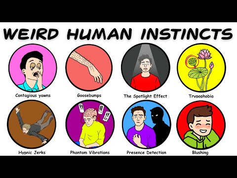 Every Weird Human Instinct That Still Controls You