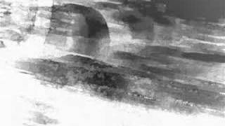 PJ HARVEY &quot;WHITE CHALK&quot;