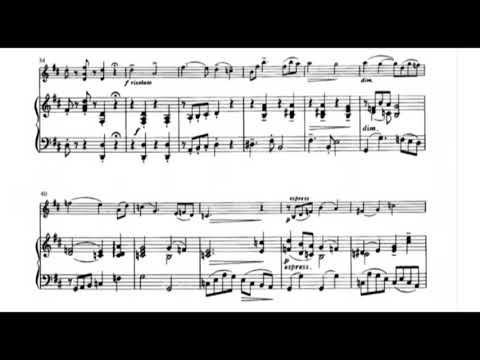 Friedrich Seitz concerto Violin No.5 -1st Movement Accompaniment