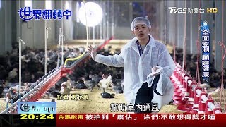 [問卦] 為什麼台灣一直有禽流感？