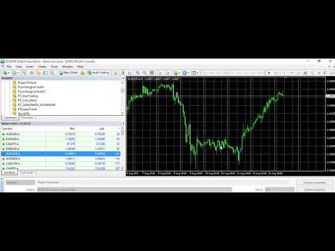 Video Project Future