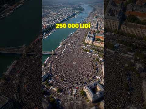Sledující VS lidi💥 dáme to i na YT?🤔