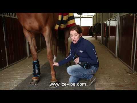 Horseware Ice Vibe Therapy Boots - How do I use my Ice Vibe Boots?