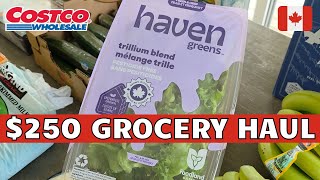 New Costco Haul | COSTCO CANADA Shopping