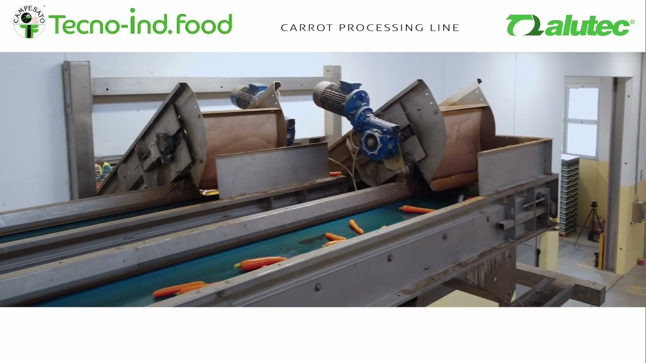 Tecno-Ind Food Campesato® carrot processing plant and Alutec® automated end-of-line system