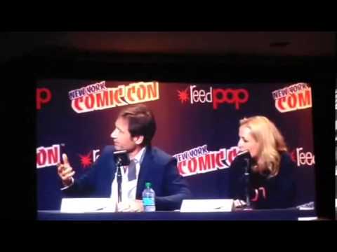 XFiles Panel NYCC