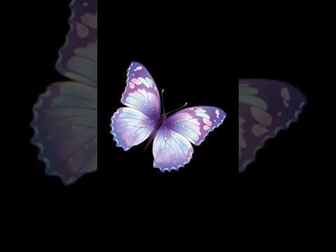 Young Costamado x Dee Savv - Folk in the trunk pt 2