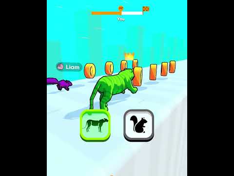 Animals Race!