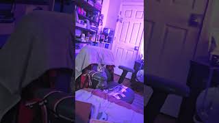 bopa playing inside her villa @bopa2025