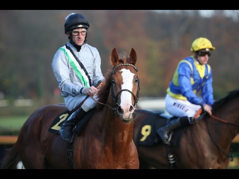 Krefeld: Preis der reset consulting GmbH (D) - Sieger: Graasten