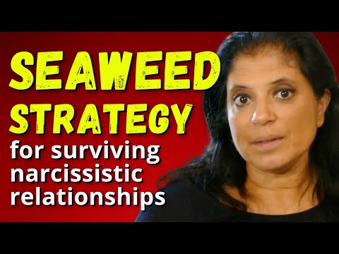 The seaweed strategy for surviving narcissistic relationships