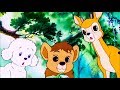 SIMBA RE LEONE Episodio 23 Italiano Simba King Lion Full HD 1080p