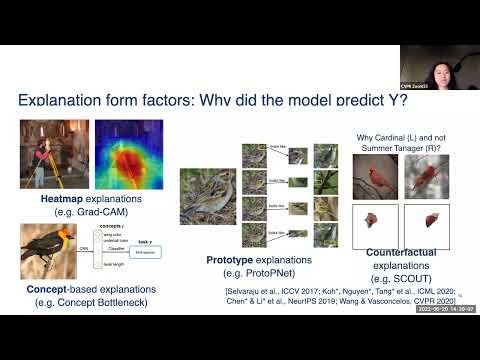 Ruth Fong: Directions in interpretability