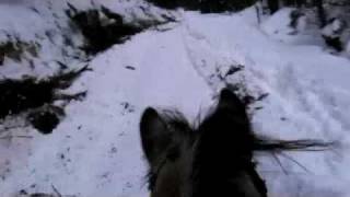 Rundt vannet del 3 - gaupeligalopp