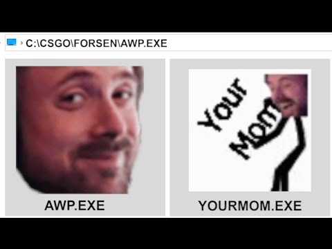 C:\CSGO\FORSEN\AWP.EXE