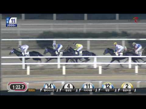 2014 11 30 s11 삼복  강추천 360배  동착 반토막