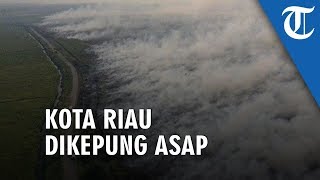 Download lagu Riau Dikepung Asap Pekat, Akibat Kebakaran Hutan dan Lahan mp3