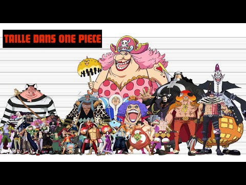 LES TAILLES COLOSSALES DES PERSONNAGES DE ONE PIECE RÉVÉLÉES ! ( des tailles catastrophiques )