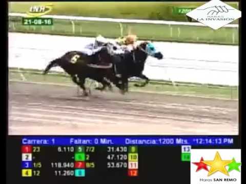 LA RINCONADA 1 CARRERA, DOMINGO 21 DE AGOSTO DEL 2016