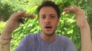 Transformer la Négativité