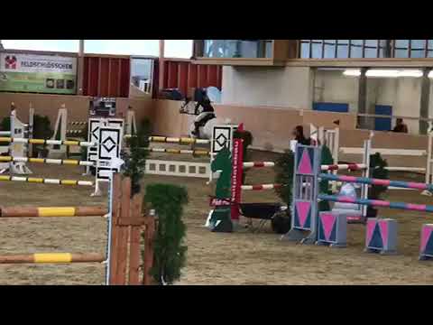 Lady Valentine (Levisonn x Contendro I)