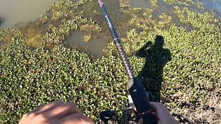 White Bass Fishing Mason Point/ Walk,Hike,Fish