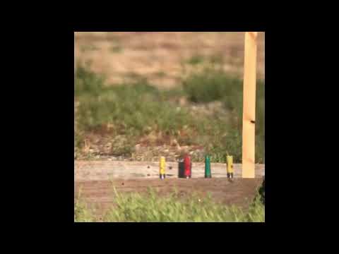 Sig Sauer ASP20 hitting shotgun shells at 50 yards