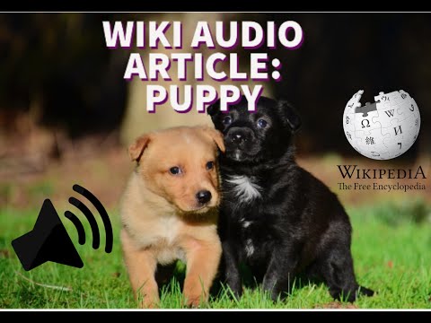 Puppy- Wikipedia Audio Article
