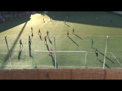 Vesa - HyPS, 30.6.2016, kooste