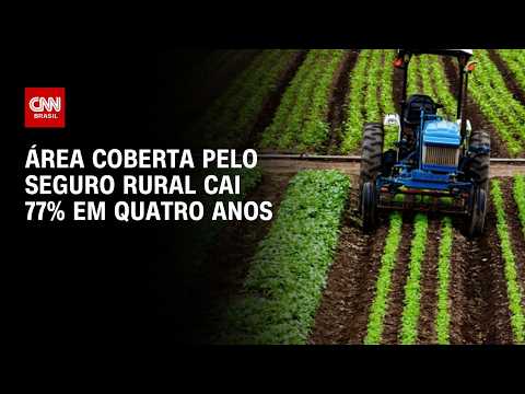 Área coberta pelo seguro rural subvencionado cai 77% em quatro anos | CNN AGRO NEWS
