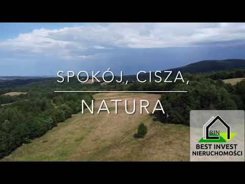 Działka budowlana w Przecznicy wśród drzew, z dala od zgiełku, w bajecznym miejscu!