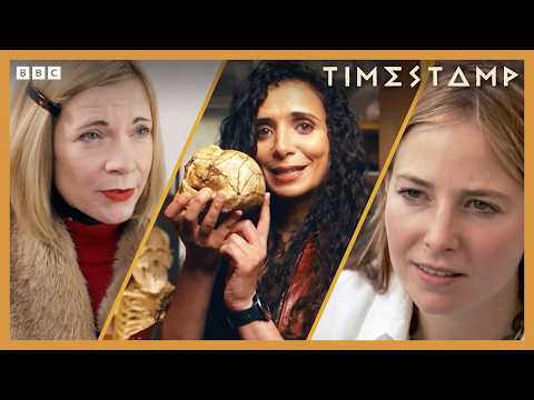 Learn About Prehistoric Life | Bbc Timestamp