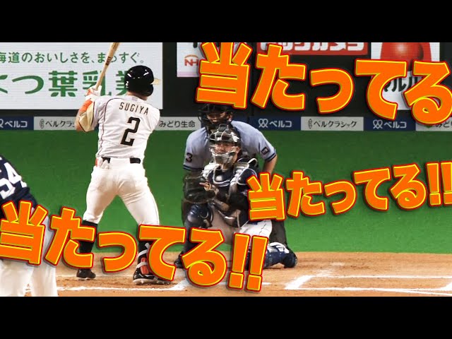【職人芸】ファイターズ・杉谷『当たってる！』貫禄のアピール成功