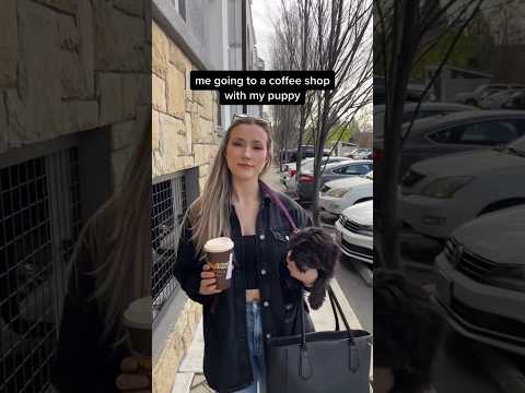 She tried to steal my puppy :( #dog #puppy #scary #shorts #fail